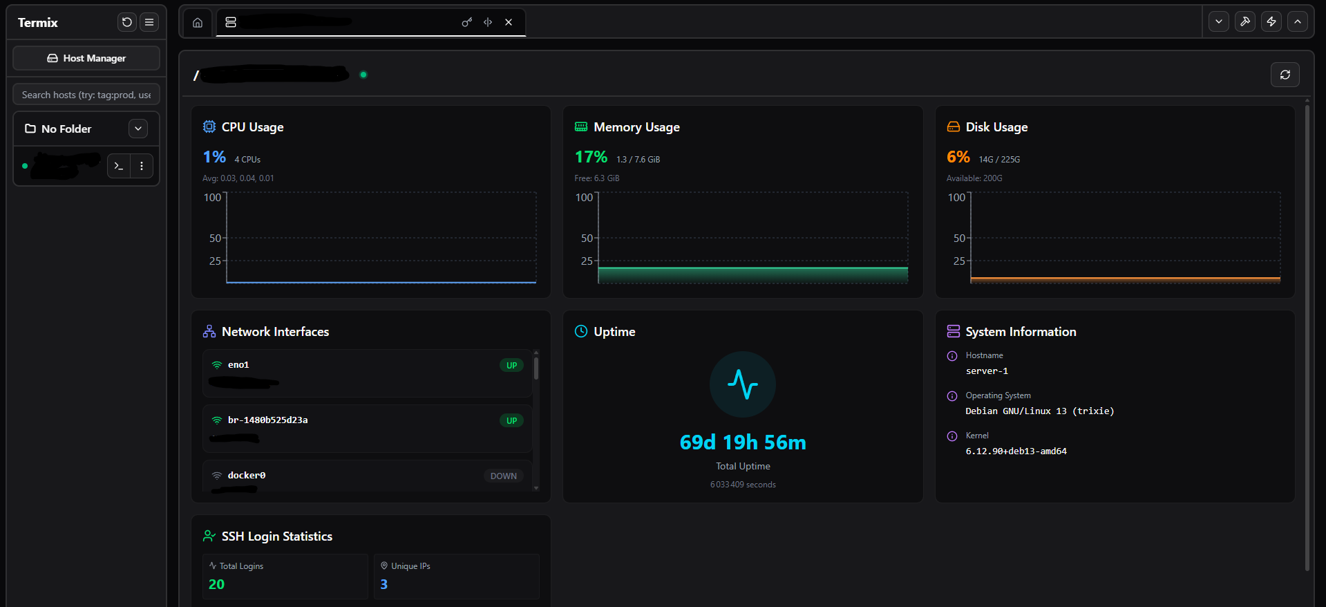 Aperçu de l'interface de contrôle Termix du serveur